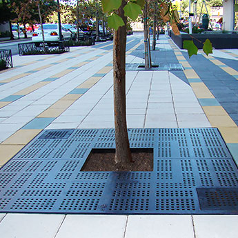 EJ streetscapes tree grate installed in sidwalk with trees