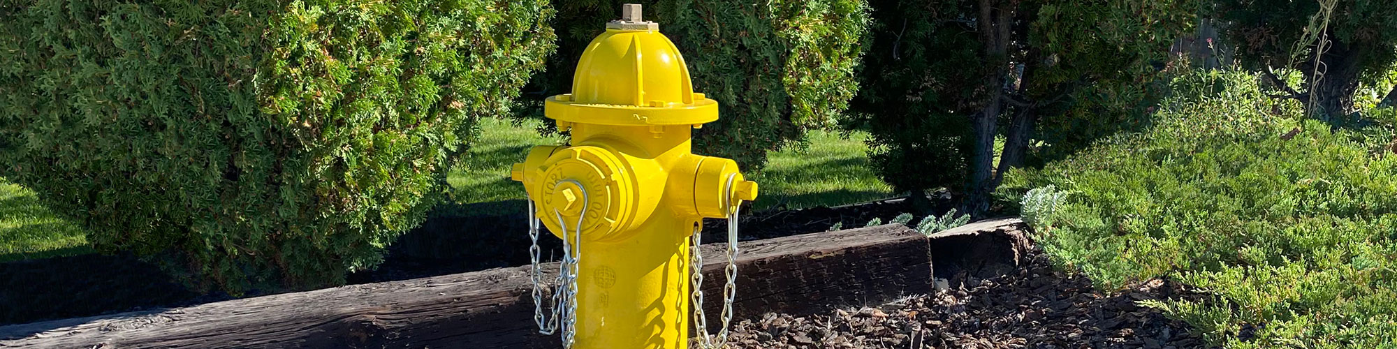 EJ WaterMaster yellow CD fire hydrant next to valve box cover in front of bushes