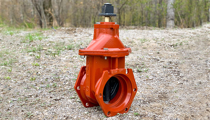 EJ FlowMaster resilient wedge gate valve